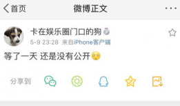 吃瓜协会的爆料准吗,揭秘娱乐圈幕后真相